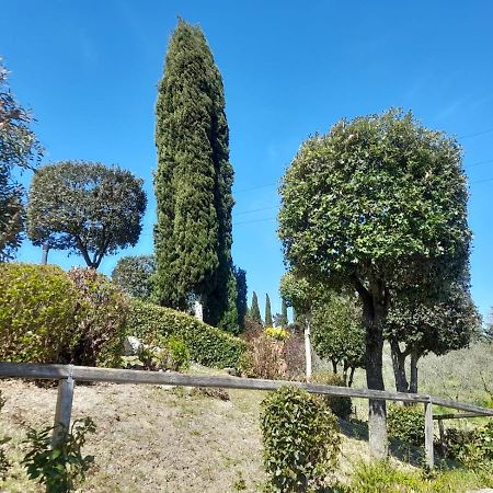 Villetta Dei Lecci Castelfiorentino Exterior foto